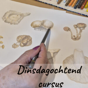 Cursus botanisch tekenen - dinsdagochtend - start 24 februari