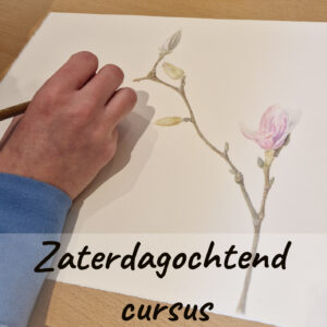 Cursus botanisch tekenen - zaterdagochtend - start 14 februari