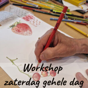 Workshop hele dag