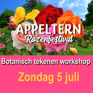 Workshop rozen tekenen Appeltern