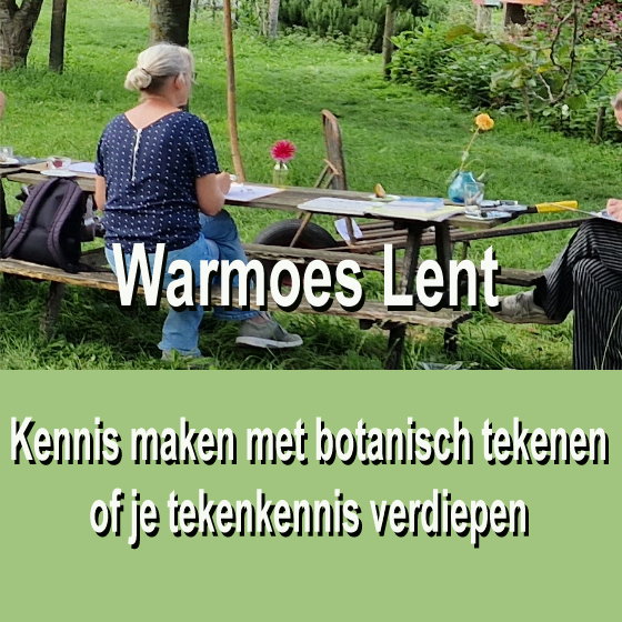 Zomer tekendagen in de tuin van de Warmoes Lent